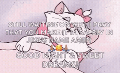 A Cat With A Pink Bow On Its Head Is Laying On A Person 'S Lap And Says Good Night And Sweet Dreams GIF