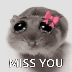 A Cat With A Pink Bow On Its Head Is Saying `` Miss You '' . GIF
