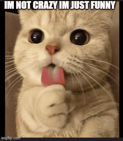 A Cat With A Pink Tongue Sticking Out And The Words Im Not Crazy Im Just Funny GIF