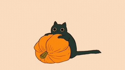 A Cat With A Pumpkin On Its Head Is Sitting Down . GIF
