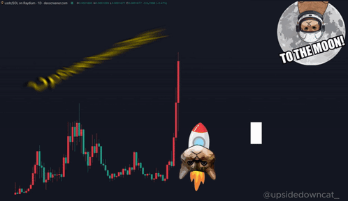 A Cat With A Rocket On Its Head And The Words Upside Down Cat Above It GIF