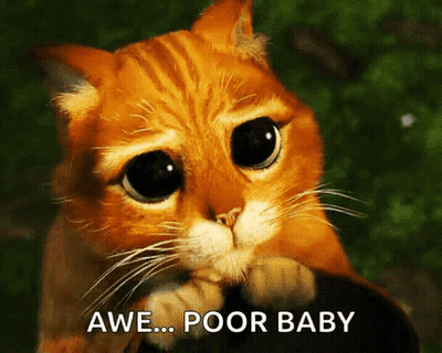 A Cat With A Sad Look On Its Face And The Words Awe Poor Baby Below It GIF