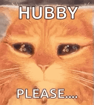 A Cat With A Sad Look On Its Face And The Words `` Hubby Please '' Written On It . GIF