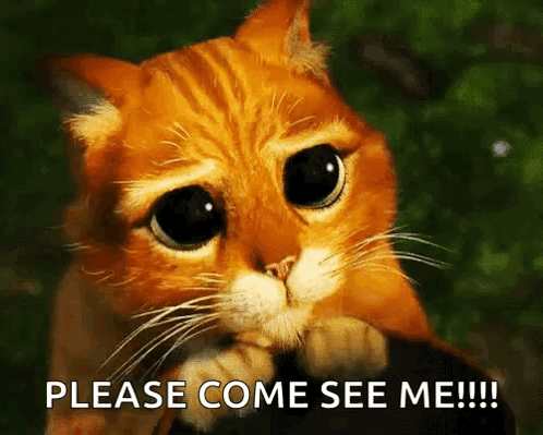 A Cat With A Sad Look On Its Face Is Asking To Be Seen GIF