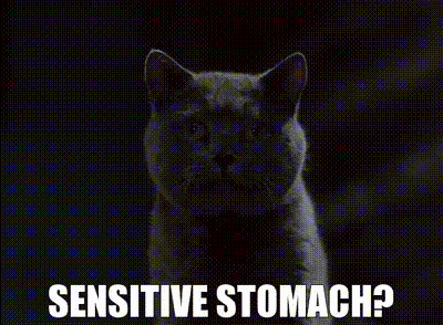 A Cat With A Sensitive Stomach Is Looking At The Camera GIF
