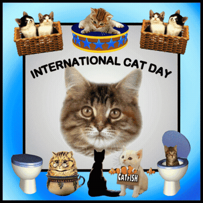A Cat With A Sign That Says Catfish Surrounded By Other Cats GIF