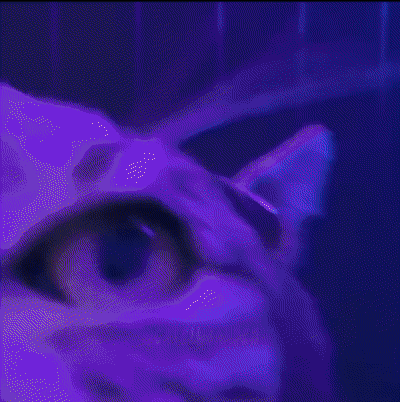 A Cat With A Slice Of Bread On Its Head With The Words The Dance Floor Silly Written Below It GIF