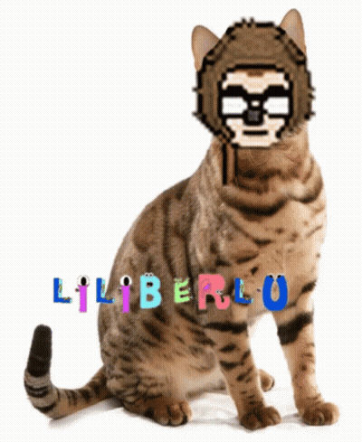 A Cat With A Sloth On Its Head And The Word Liberlu Written On It GIF