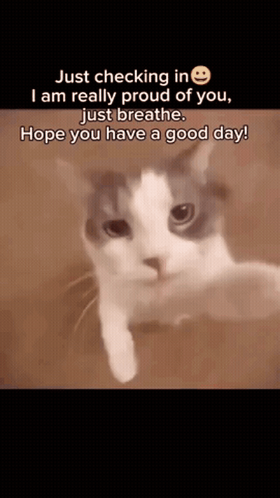 A Cat With A Smiley Face On Its Face Says Just Checking In I Am Really Proud Of You . GIF
