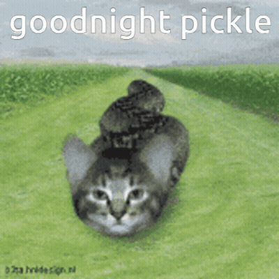 A Cat With A Snake On Its Back And The Words Goodnight Pickle GIF