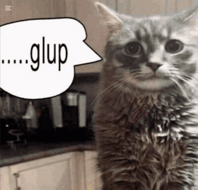 A Cat With A Speech Bubble Saying Glup GIF