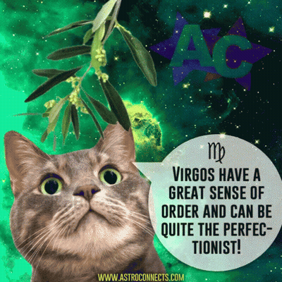 A Cat With A Speech Bubble Saying Virgos Have A Great Sense Of Order GIF