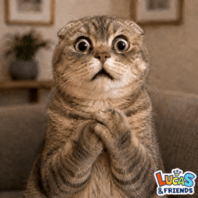 A Cat With A Surprised Look On Its Face And A Lucas & Friends Logo GIF