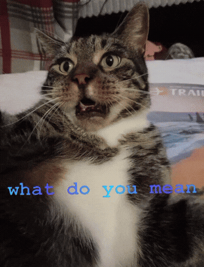 A Cat With A Surprised Look On Its Face And The Words What Do You Mean Behind It GIF