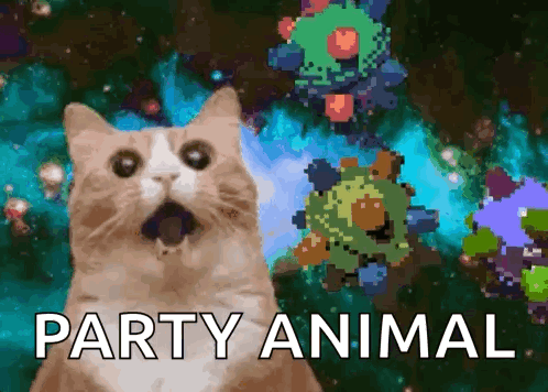 A Cat With A Surprised Look On Its Face With The Words Party Animal Written Below It GIF