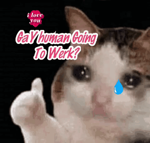 A Cat With A Tear In Its Eye Is Giving A Thumbs Up And Saying Gay Human Going To Work GIF