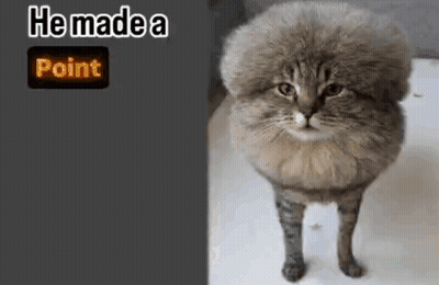 A Cat With A Very Fluffy Head Is Standing In Front Of A Sign That Says " He Made A Point " GIF