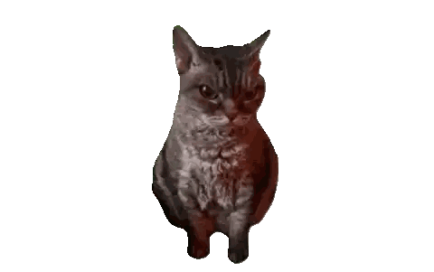 A Cat With A White Background And A Red Spot On Its Face Sticker