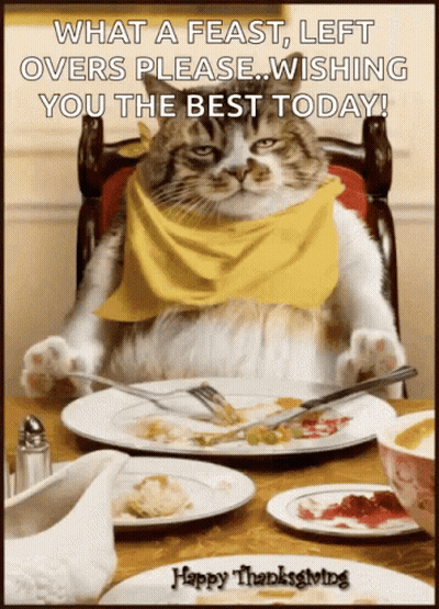 A Cat With A Yellow Scarf Around Its Neck Sits At A Table With Plates Of Food And A Happy Thanksgiving Greeting GIF