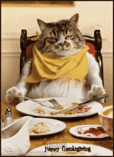 A Cat With A Yellow Scarf Around Its Neck Sits At A Table With Plates Of Food GIF