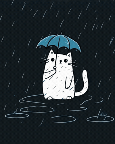A Cat With An Umbrella In The Rain GIF