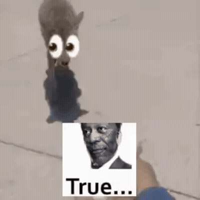 A Cat With Big Eyes And A Picture Of A Man . GIF
