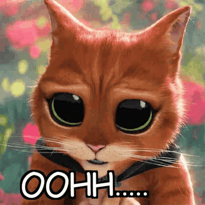 A Cat With Big Eyes And The Word Oohh Written On It GIF
