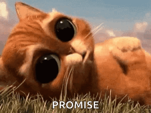 A Cat With Big Eyes Is Laying In The Grass With The Word Promise Behind It . GIF