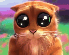 A Cat With Big Eyes Is Looking At The Camera . GIF