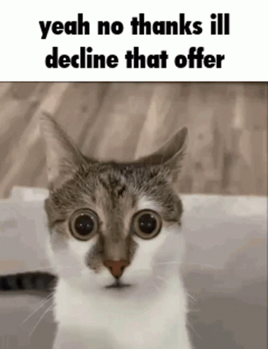 A Cat With Big Eyes Is Looking At The Camera With The Words `` Yeah No Thanks Ill Decline That Offer '' Written Above It GIF