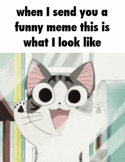 A Cat With Big Eyes Is Smiling And Looking At The Camera . GIF