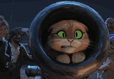 A Cat With Green Eyes Is Looking Out Of A Tire GIF