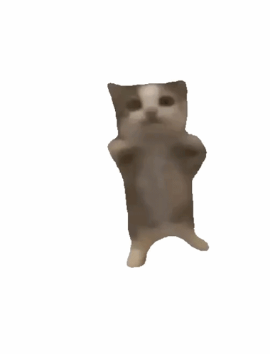 A Cat With Its Arms Outstretched Is Flying Through The Air GIF