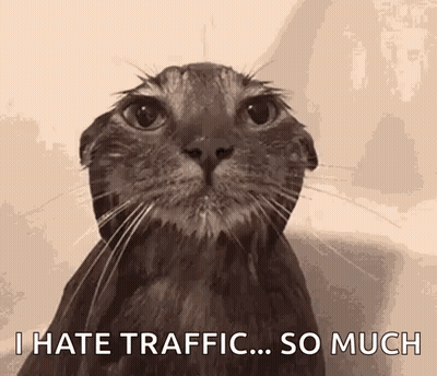 A Cat With Its Ears Folded And The Words `` I Hate Traffic ... So Much '' Written On Its Face . GIF