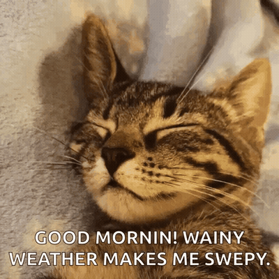A Cat With Its Eyes Closed And The Words Good Morning Wainy Weather Makes Me Sweepy GIF