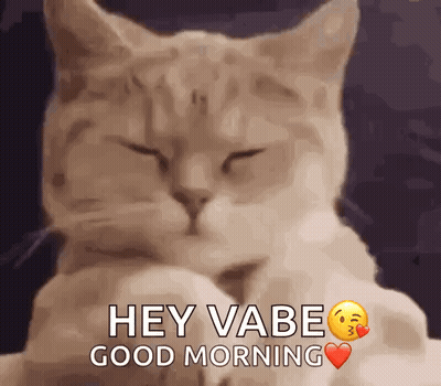 A Cat With Its Eyes Closed Is Saying `` Hey Vabe Good Morning '' GIF