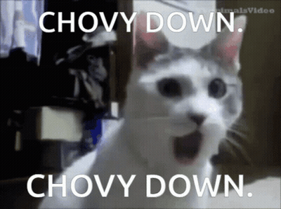 A Cat With Its Mouth Open And The Words " Chovy Down " Written On It GIF