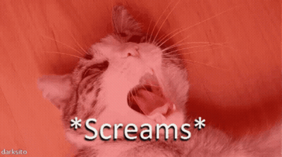 A Cat With Its Mouth Open And The Words * Screams * Written Above It GIF