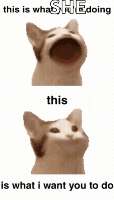 A Cat With Its Mouth Open And The Words " This Is What I Want You To Do " GIF