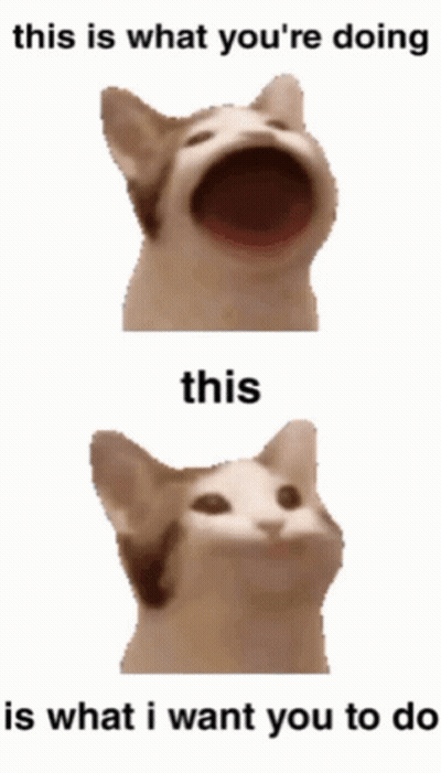 A Cat With Its Mouth Open And The Words " This Is What You 'Re Doing This Is What I Want You To Do " Below It GIF