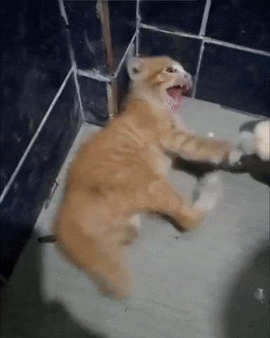 A Cat With Its Mouth Open Is Laying On A Bathroom Floor GIF