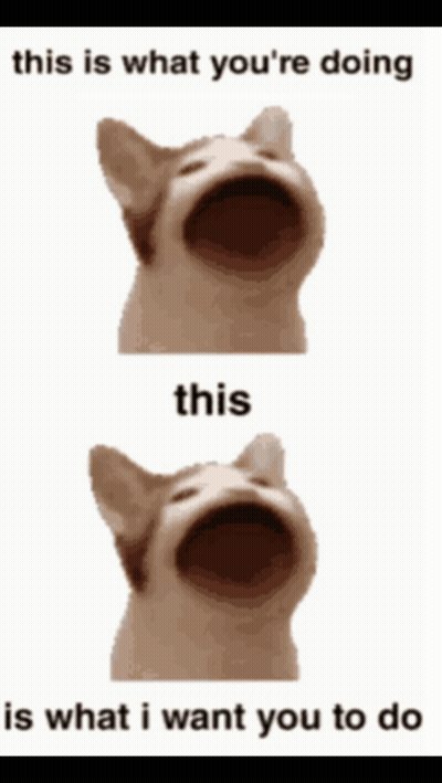 A Cat With Its Mouth Open Says This Is What You 'Re Doing GIF