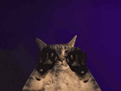 A Cat With Its Paws Up In Front Of A Purple Background That Says The More You Know GIF