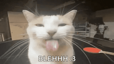 A Cat With Its Tongue Hanging Out And The Words Blehhh 3 Written Below It GIF