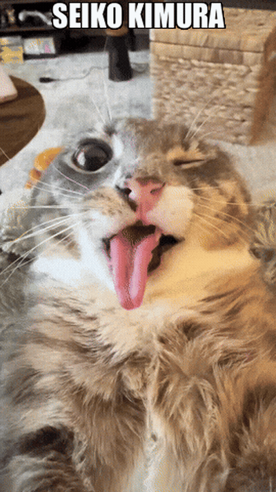 A Cat With Its Tongue Hanging Out And The Words Seiko Kimura On The Bottom GIF