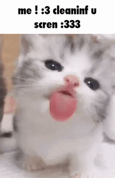 A Cat With Its Tongue Out And The Words `` Me 3 Cleaninf U Scren 333 '' GIF