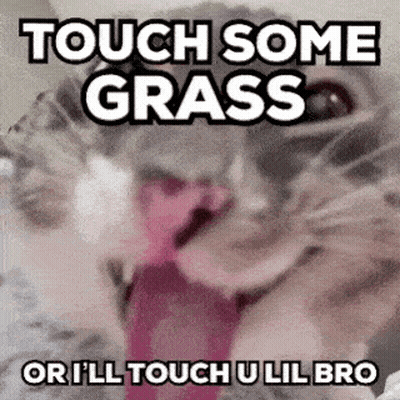 A Cat With Its Tongue Out And The Words `` Touch Some Grass Or I 'Ll Touch U Lil Bro '' GIF