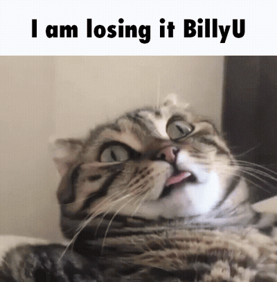 A Cat With Its Tongue Sticking Out And The Words I Am Losing It Billy U Above It GIF