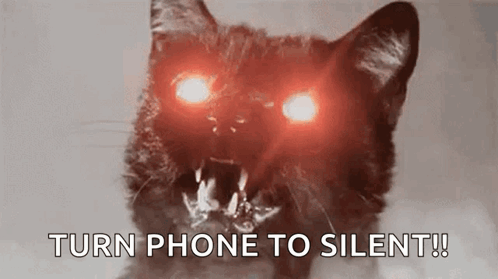 A Cat With Red Eyes Is Screaming And Saying Turn Phone To Silent . GIF