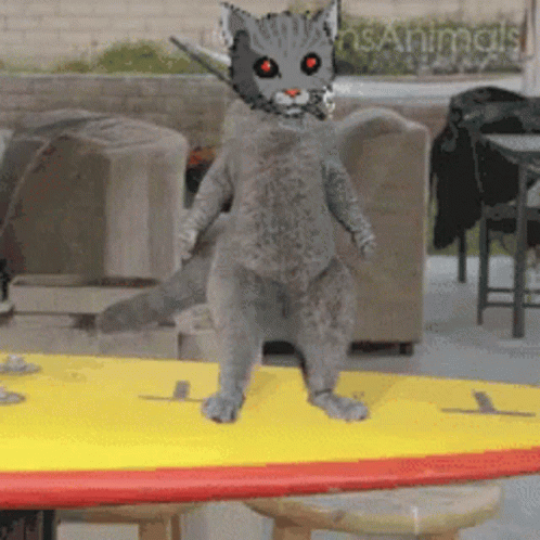 A Cat With Red Eyes Is Standing On A Yellow Surfboard With The Word Animals On The Bottom GIF
